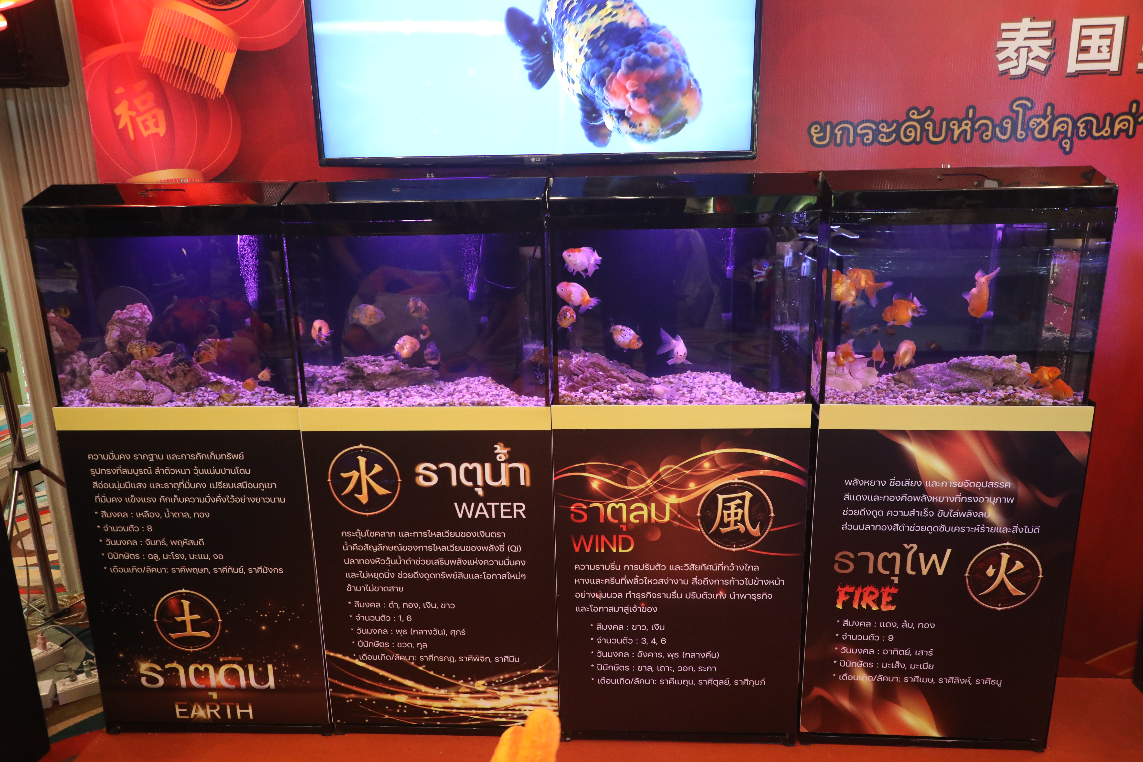 title - ส.ป.ก. ร่วมงานนำเสนอผลงานวิชาการหลักสูตรนักบริหารการพัฒนาการเกษตรและสหกรณ์ ระดับสูง รุ่นที่ 93 ร่วมผลักดันสินค้าเกษตรมูลค่าสูงสู่สากล